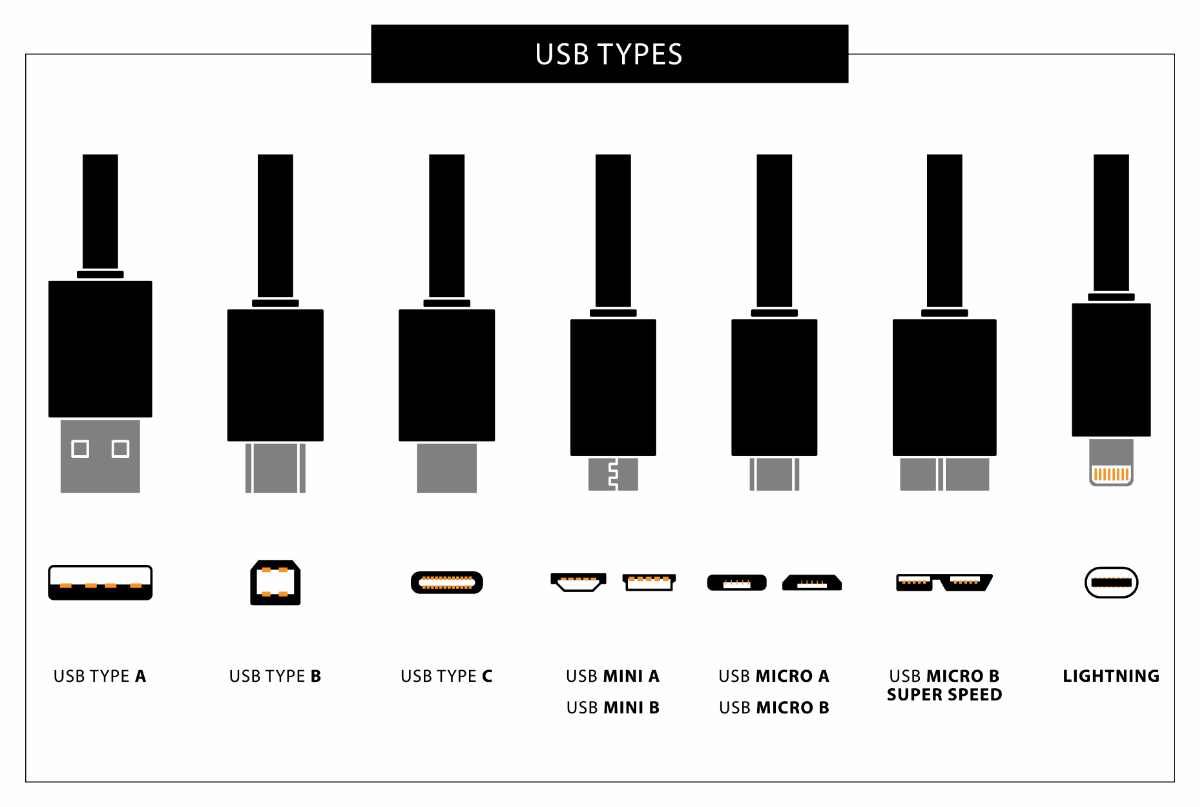 Tipos conectores USB con diferentes tamaños. 