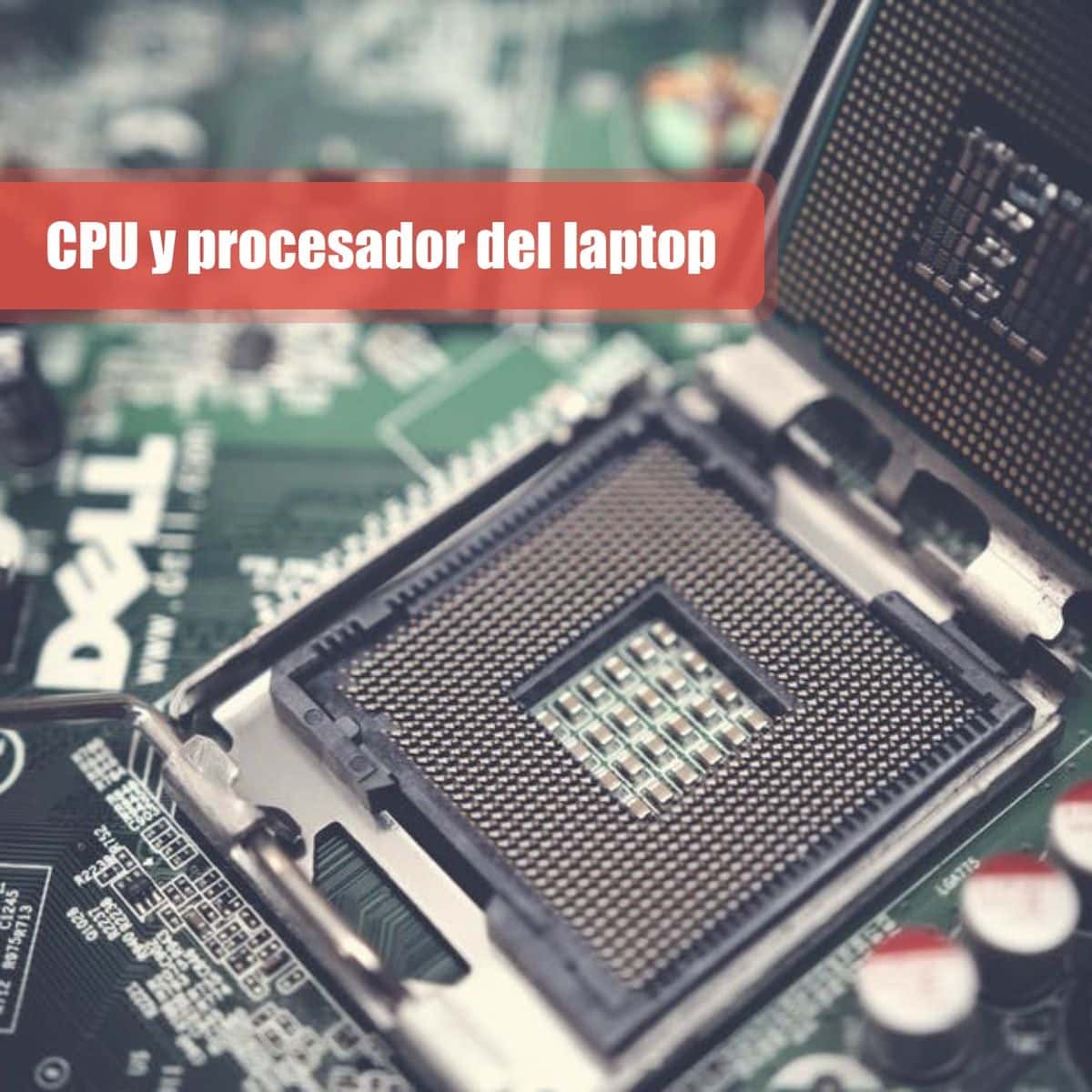 CPU y procesador del laptop para la universidad