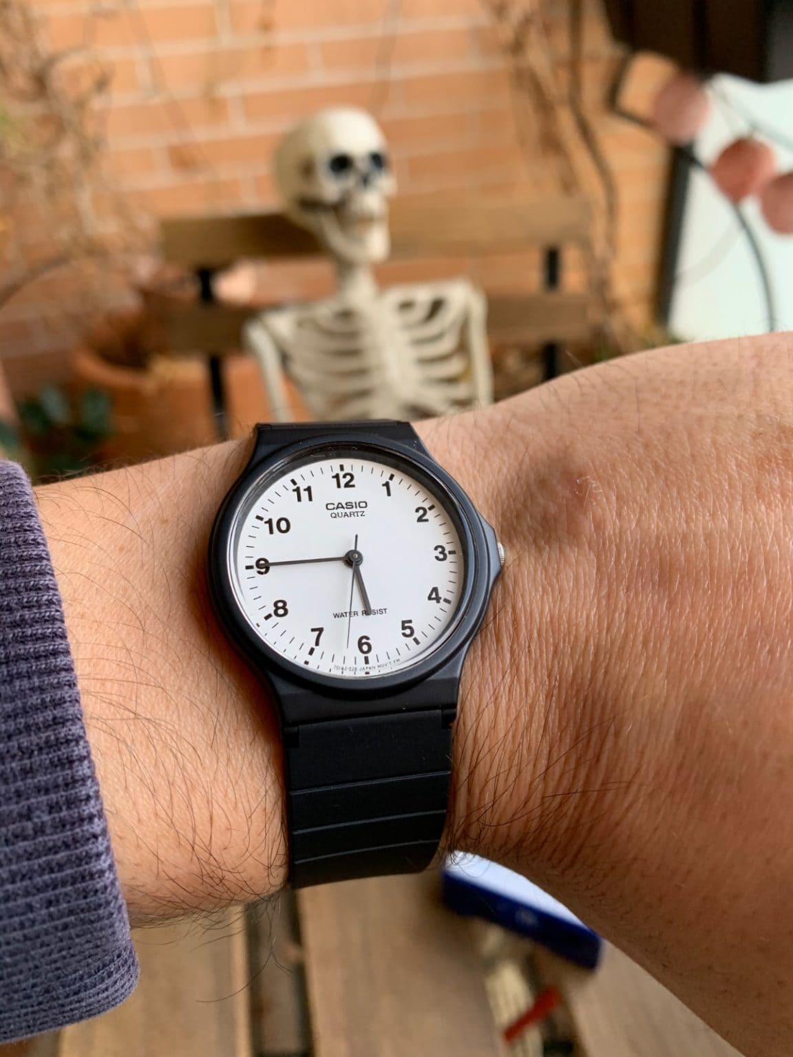casio 1330 mq 24 price