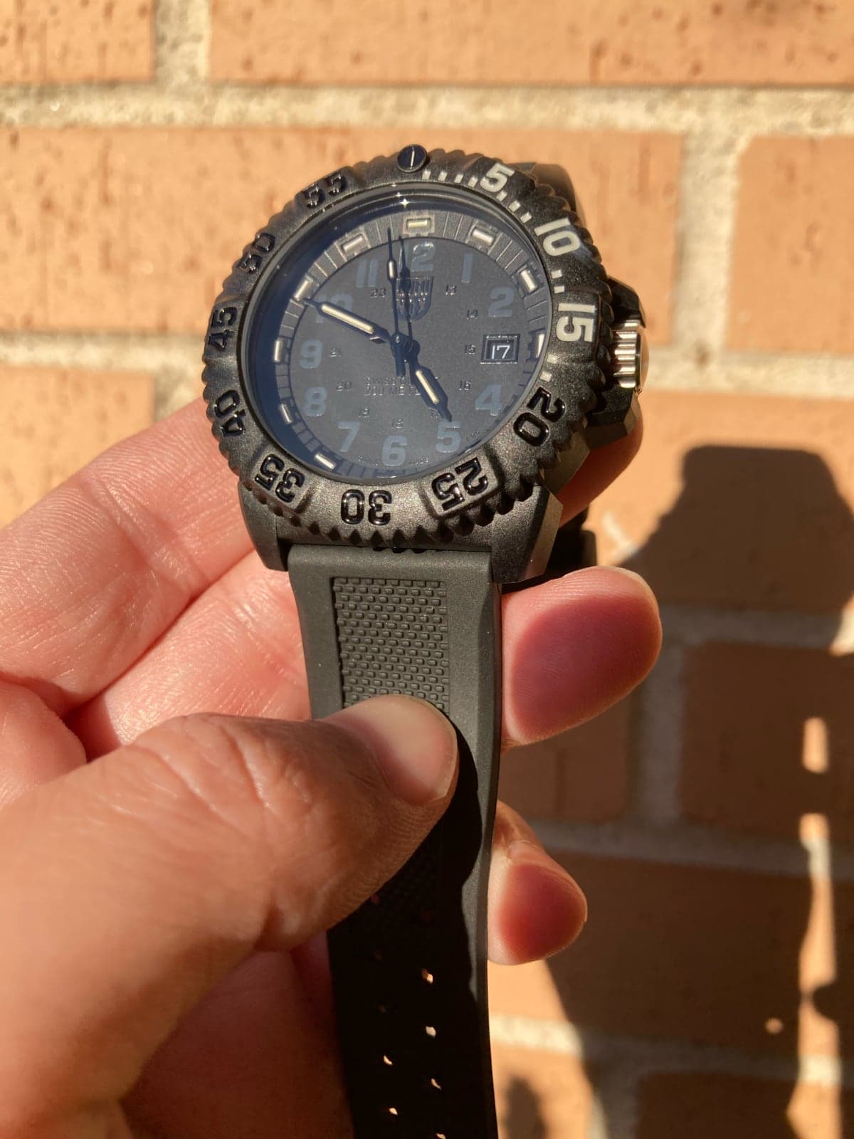 Luminox Navy SEAL Colormark 3051: a a luz del sol