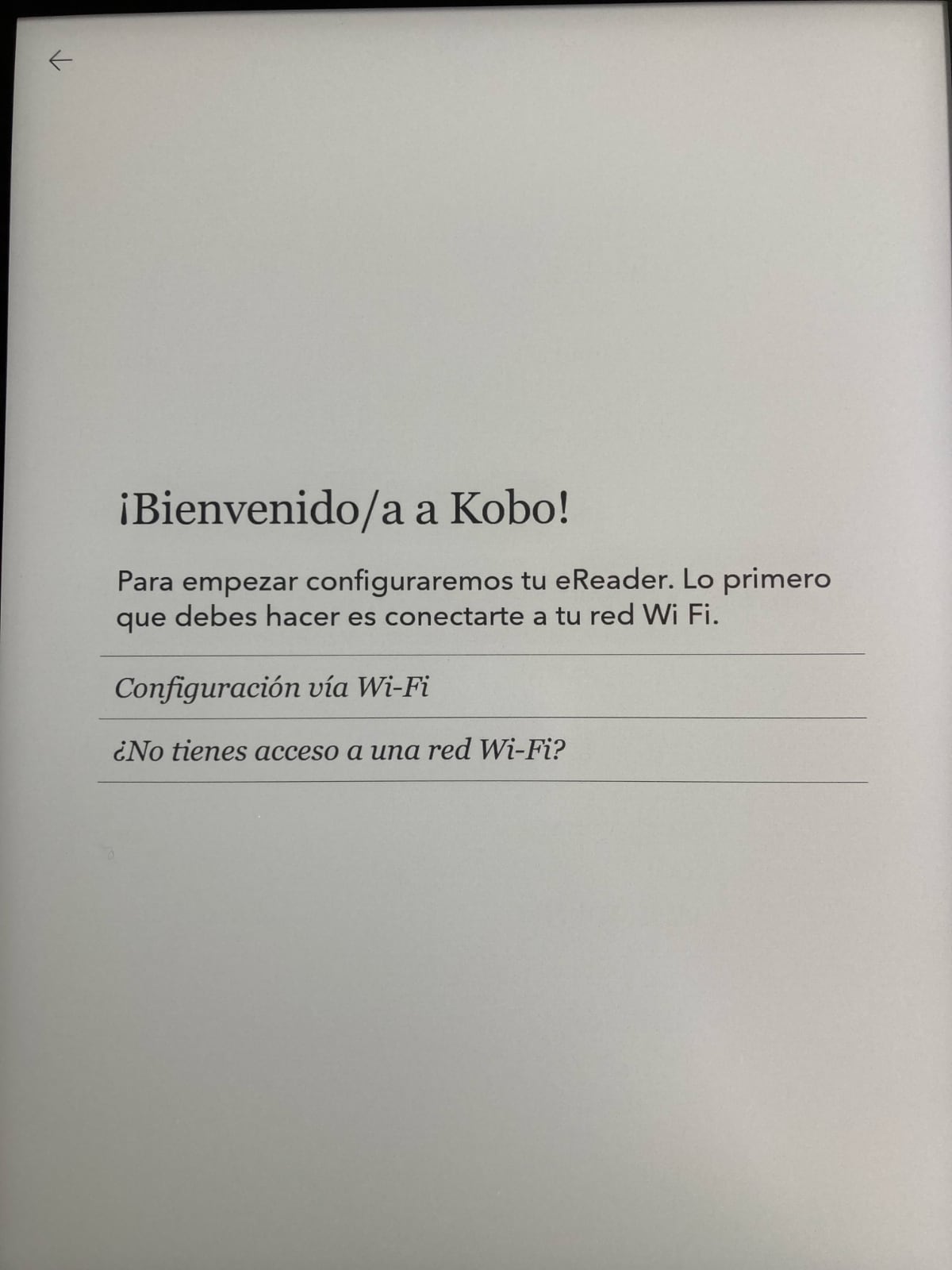 Puesta en marcha Kobo Elipsa