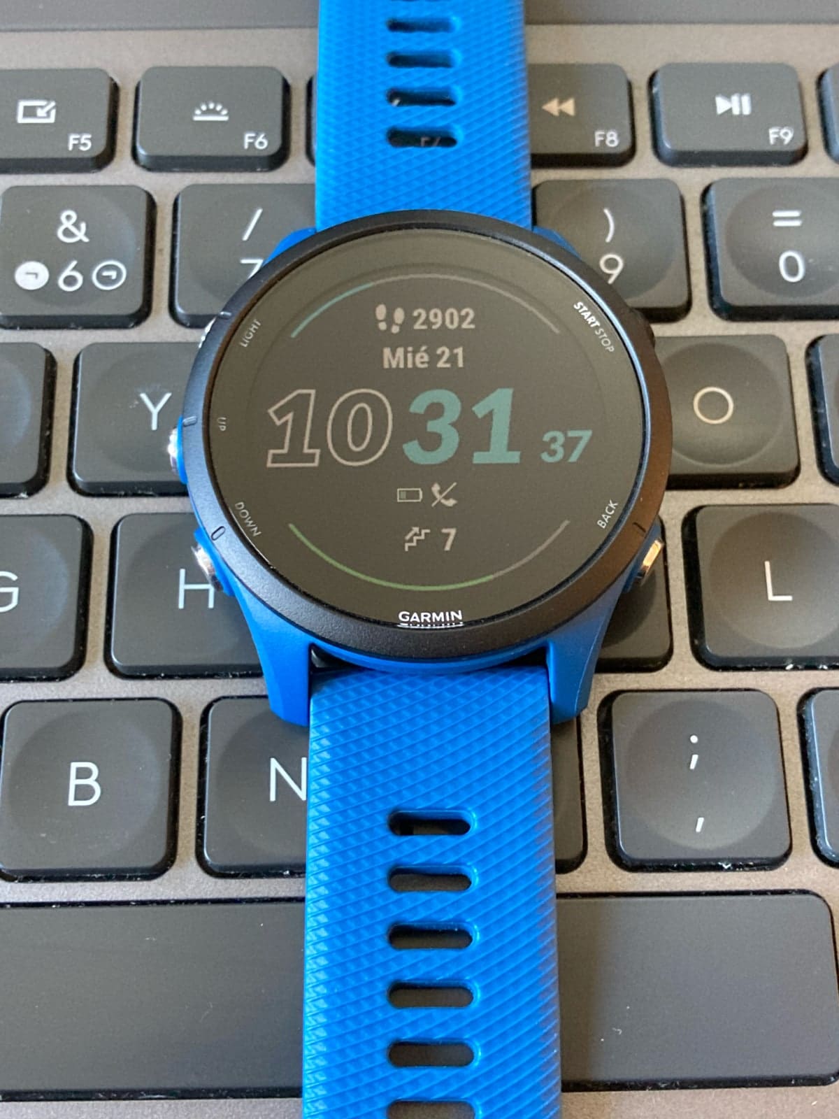 Garmin Forerunner 255