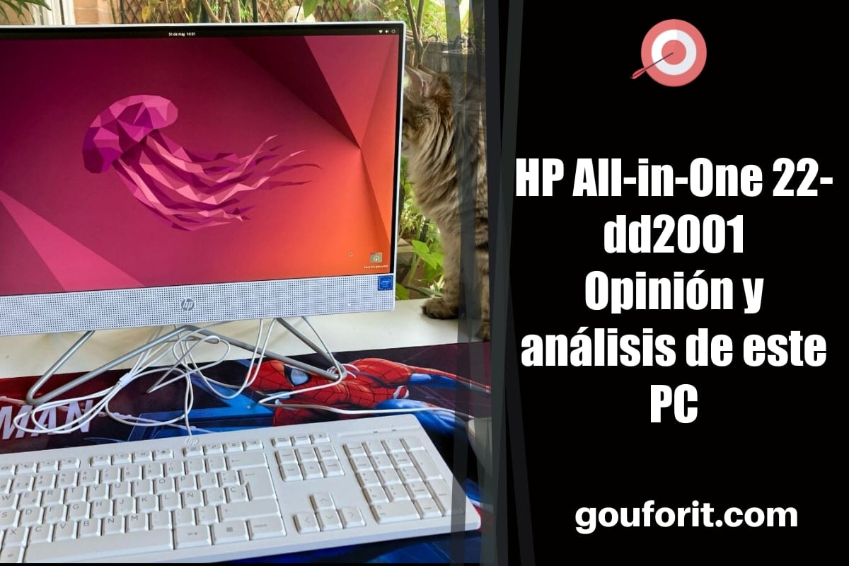 HP All-in-One 22-dd2001 - Opinión y análisis