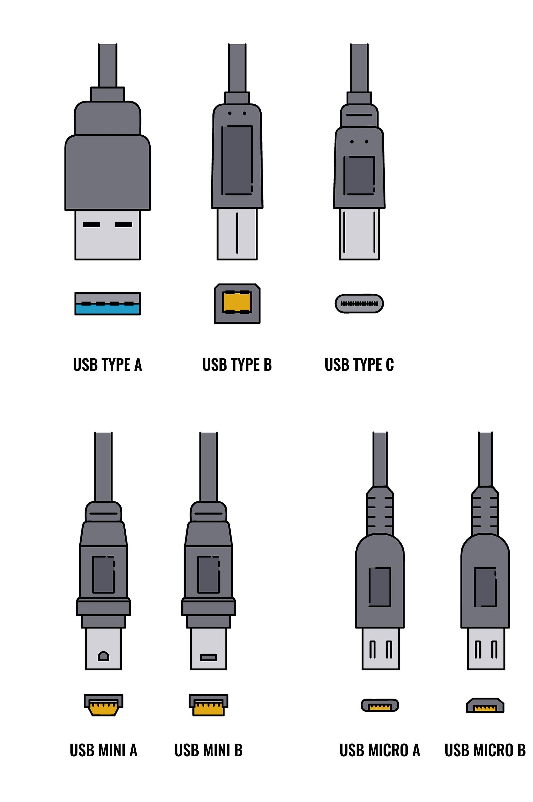 Tipos de puertos y cables comunes en USB. En los televisores solemos encontrar el puerto USB-A. 