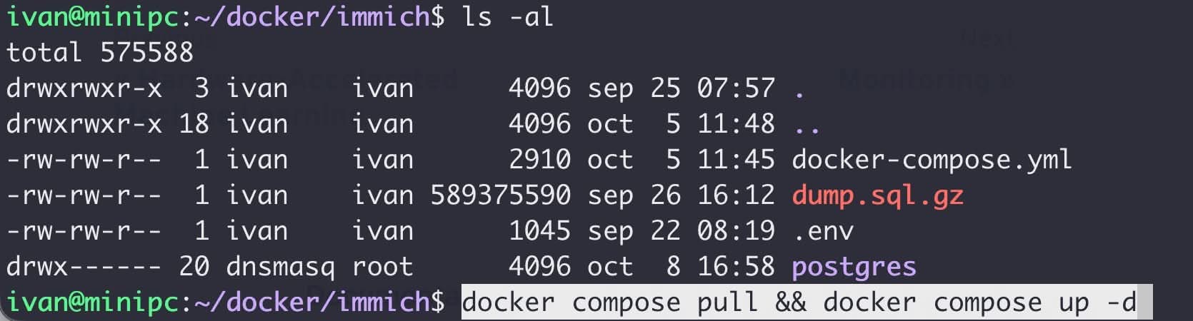 Actualizamos Immich en línea de comandos con docker compose.