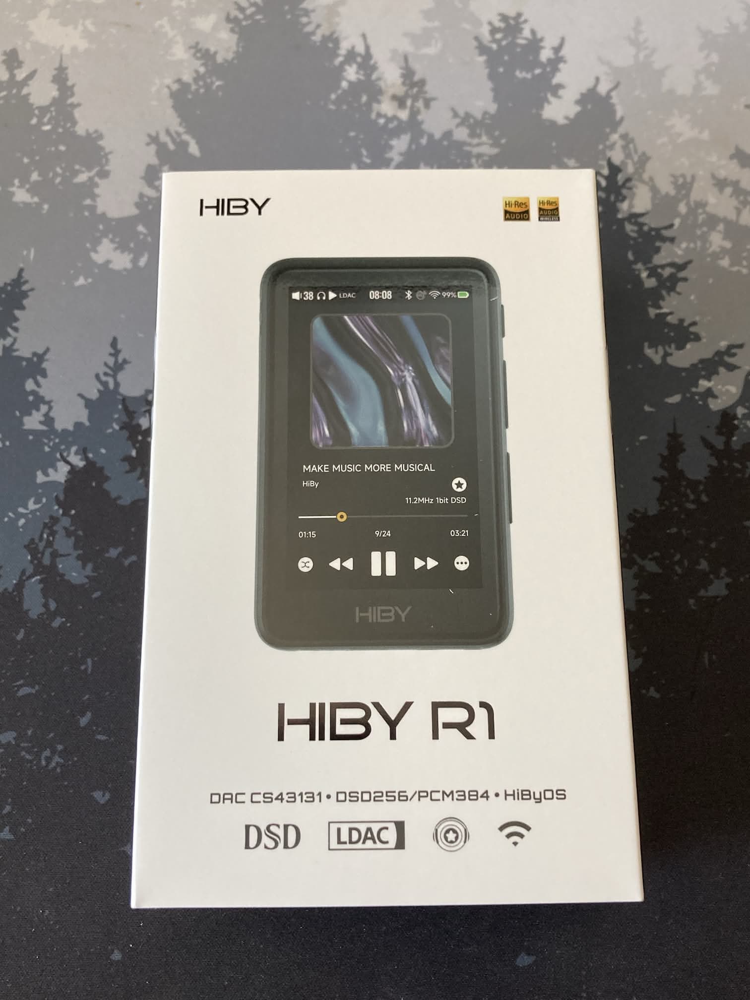 Caja del DAP Hiby R1